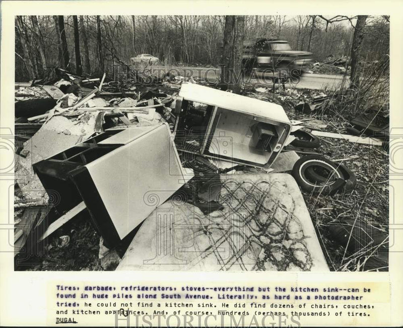 Load image into Gallery viewer, 1983 Press Photo Illegal dump site along South Avenue - sia06327
