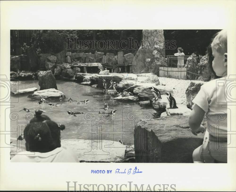 1989 Press Photo Penguin exhibit at the New York Aquarium - sia08185- Historic Images