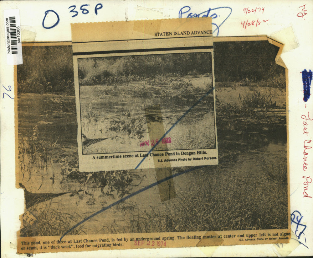 1974 Press Photo Summertime scene at Last Chance Pond in Dongan Hills