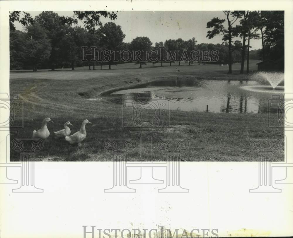 1989 Press Photo View of the SS Golf Course in Huguenot - sia10767- Historic Images