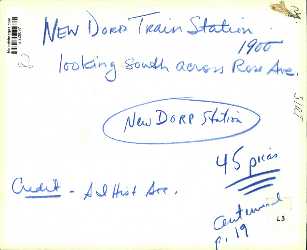 1900 Press Photo Train Station at New Dorp Looking South Across Rose Avenue