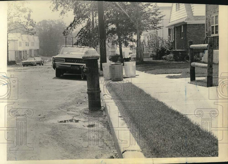 Load image into Gallery viewer, 1971 Press Photo Fire Hydrant in Front of 83 Escanaba Avenue - sia33216
