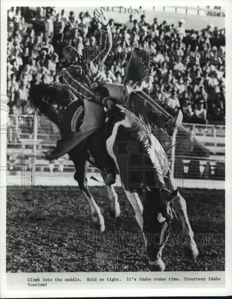 Press Photo Rider on a Bucking Bronco at Idaho Rodeo- Historic Images