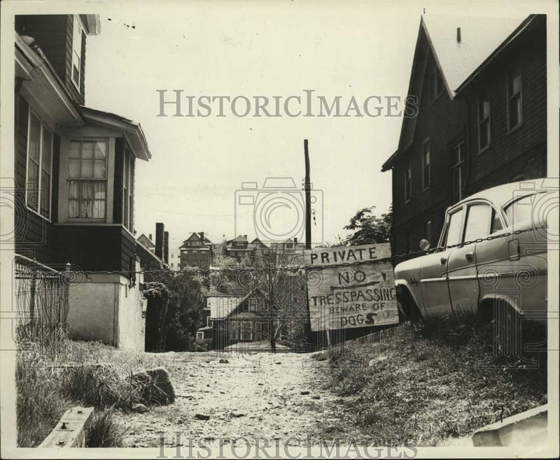 Load image into Gallery viewer, 1966 Press Photo Traffic Blocked From Pine Street; Hand-Painted Sign Warns Dogs
