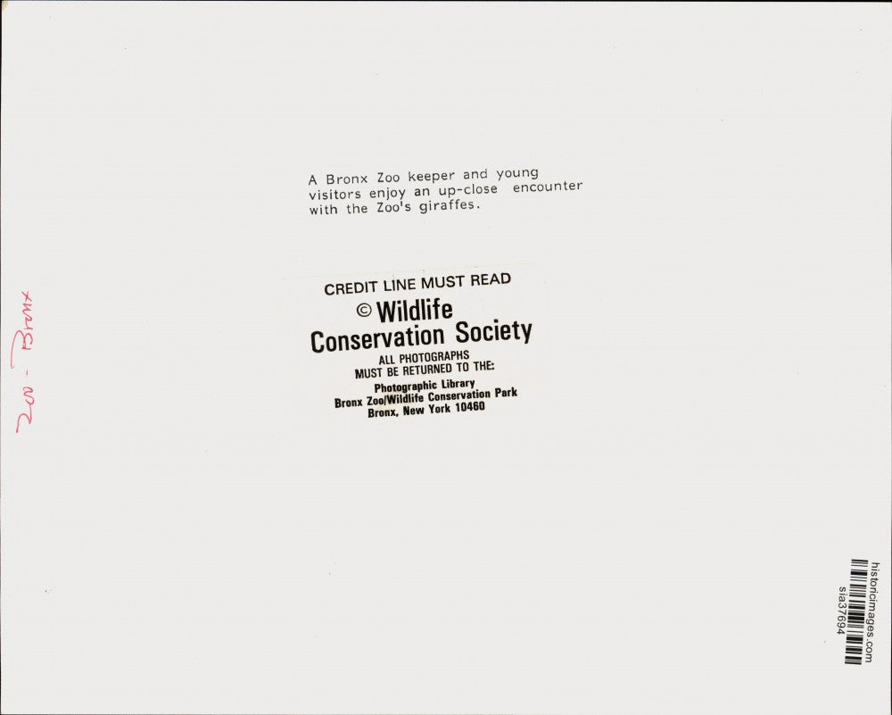 Press Photo Zoo Keeper and Visitors at The Bronx Zoo's Giraffe Exhibit