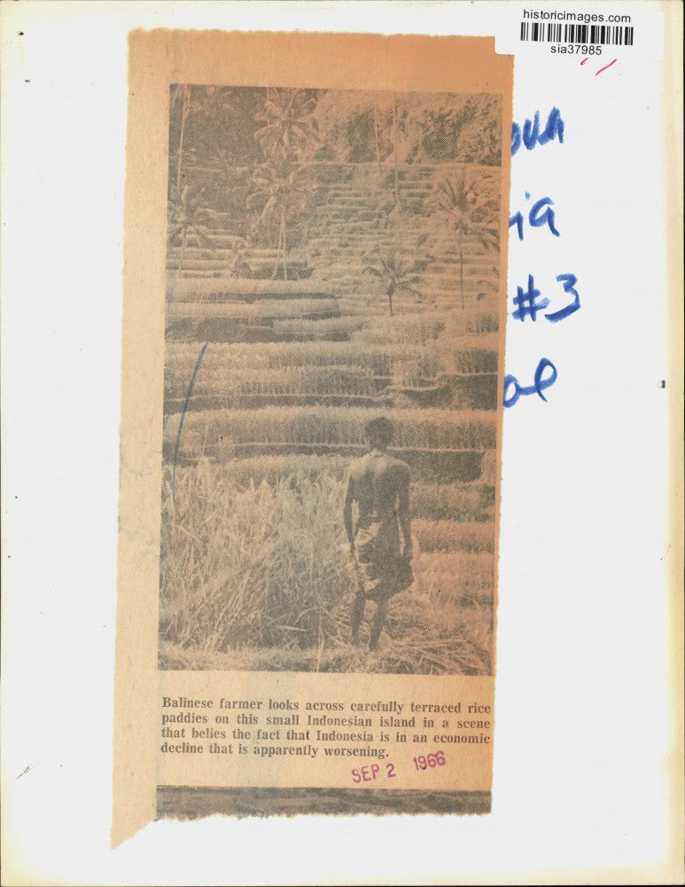 1966 Press Photo Balinese Farmer at Terraced Rice Paddies in Indonesia