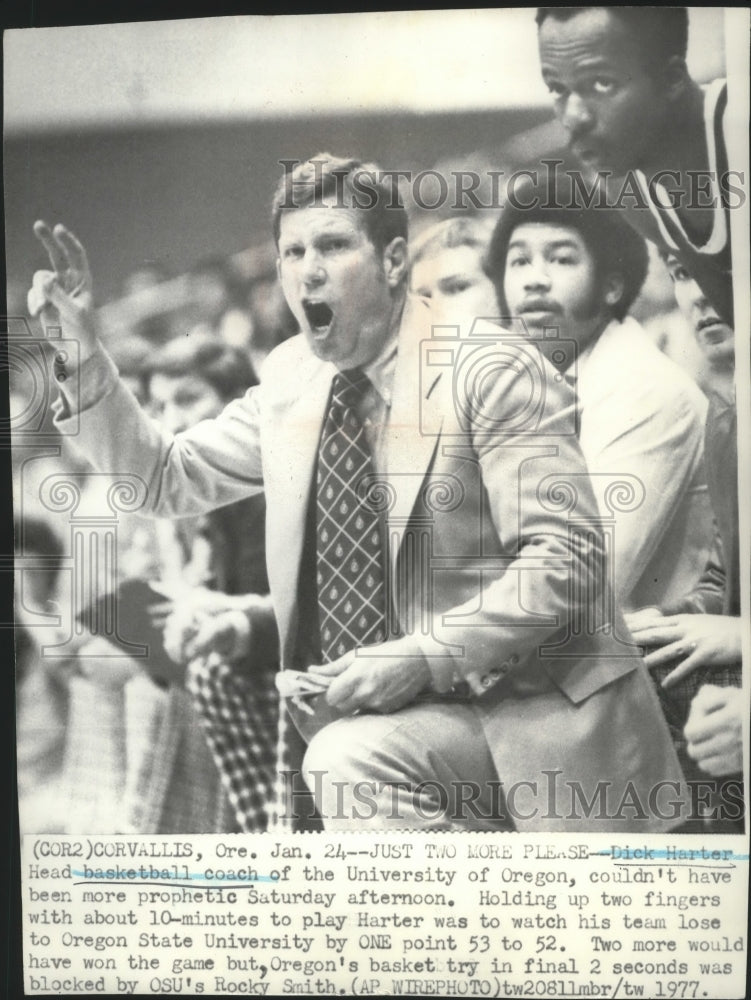 1977 Press Photo Dick Harter, Head basketball coach of the University of Oregon- Historic Images