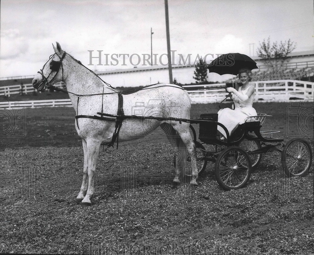 Press Photo Nikki King &amp; Sweetheart of Idaho prepare for fine harness racing- Historic Images