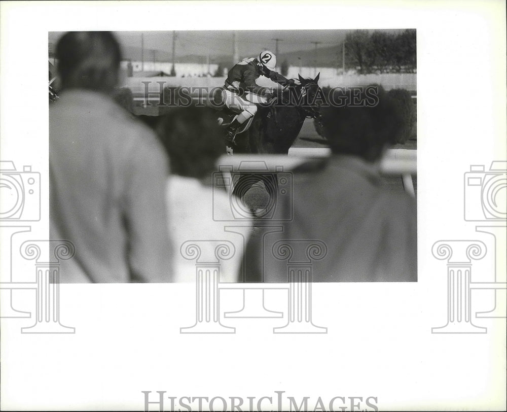 1988 Press Photo Jockey in horse racing action at the Playfair race track- Historic Images