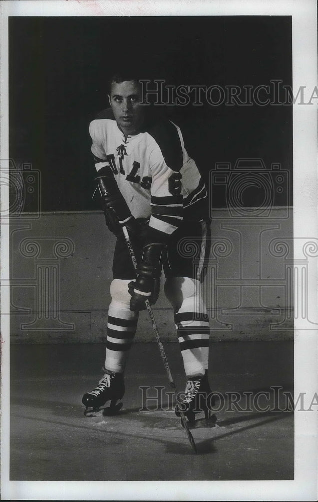 1971 Press Photo San Diego Gulls hockey defense player, Jim Eagle - sps06878- Historic Images