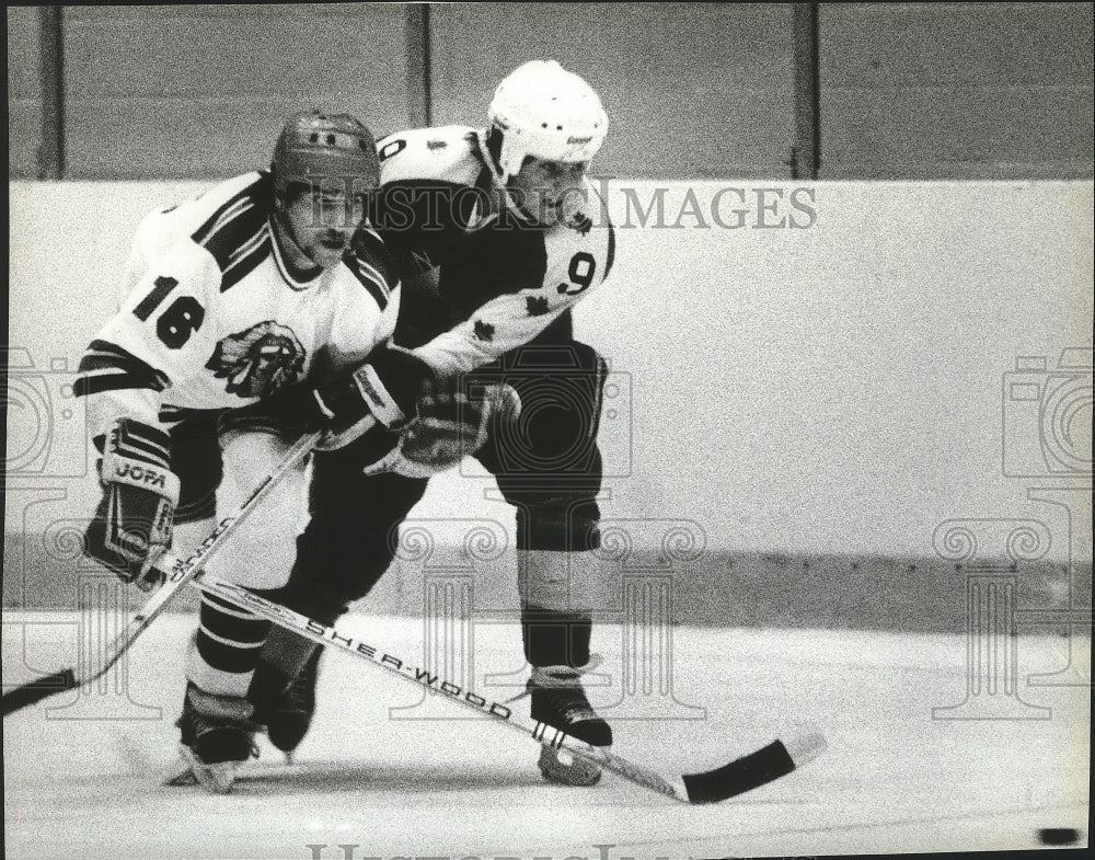 1985 Press Photo Hockey players, Dan Gerarden and Jim Perich in action- Historic Images