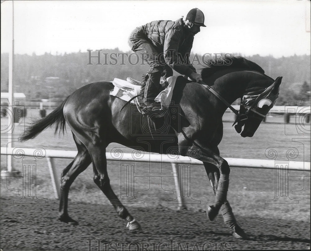 1978 Press Photo Horse racing&#39;s Kam Tam Kan and jockey Jerry Pruitt up- Historic Images