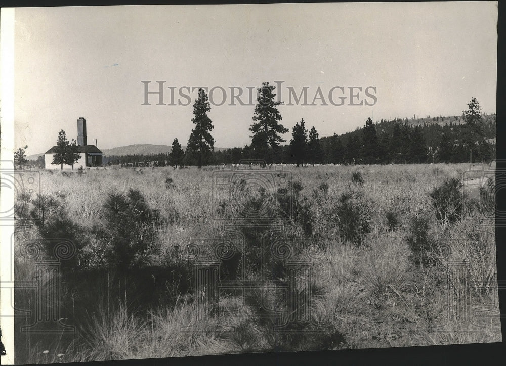 1953 Press Photo Site of Jaycees and Spokane Softball association&#39;s Eachon Field- Historic Images