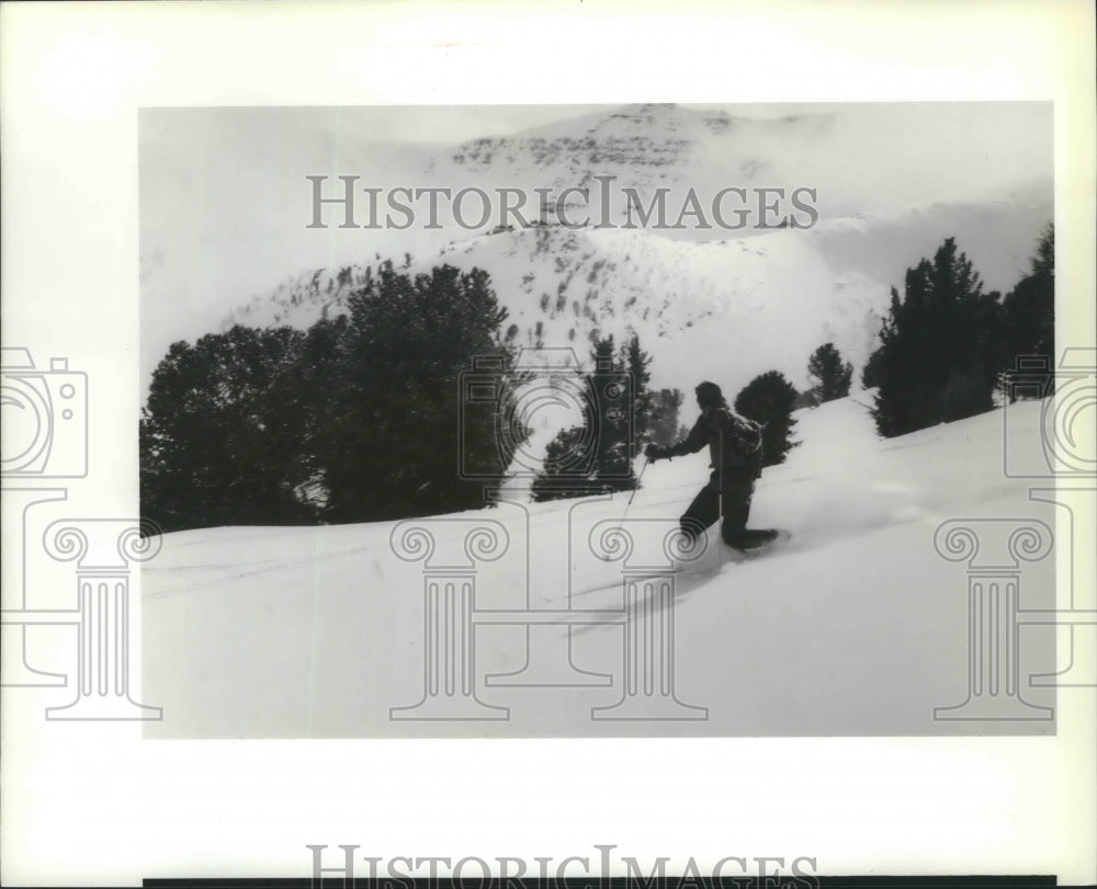 1990 Press Photo A telemark skier in the Wallowa Mountains backcountry in Oregon- Historic Images