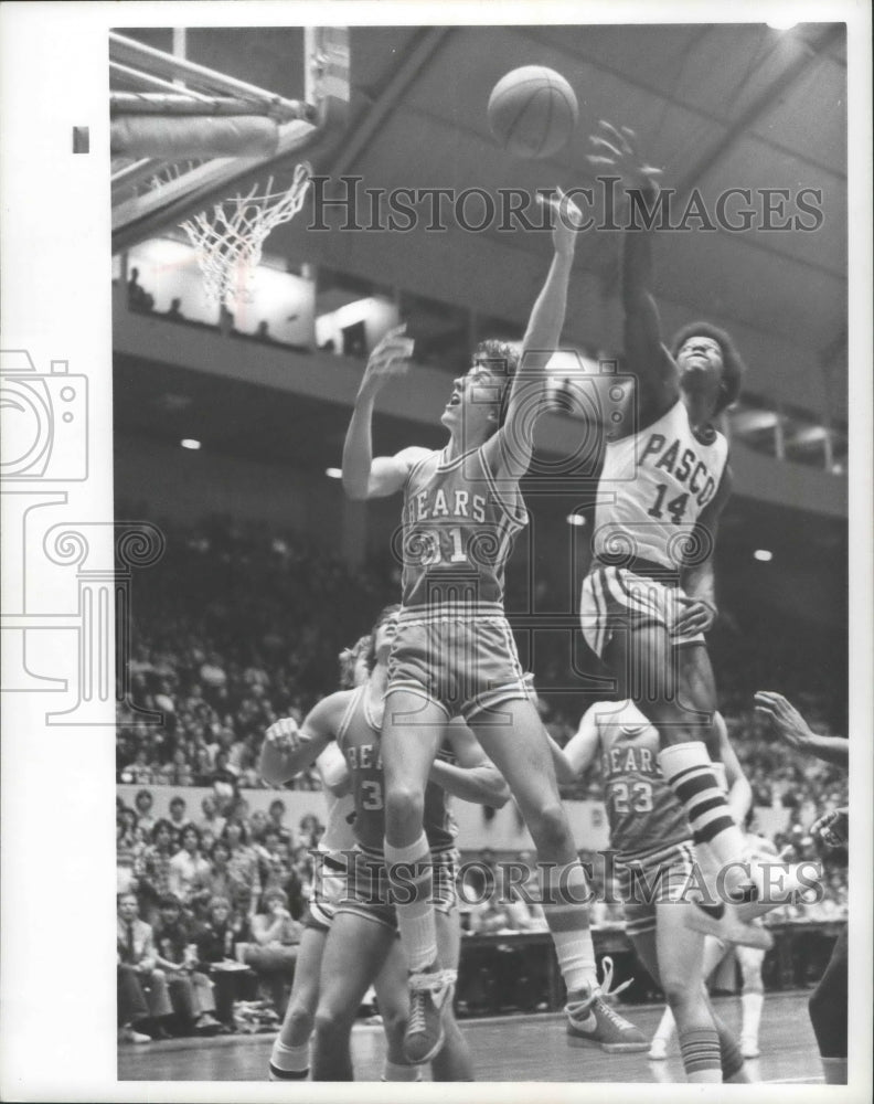 1977 Press Photo Central Valley Bears #31 battles against Pasco for basketball- Historic Images