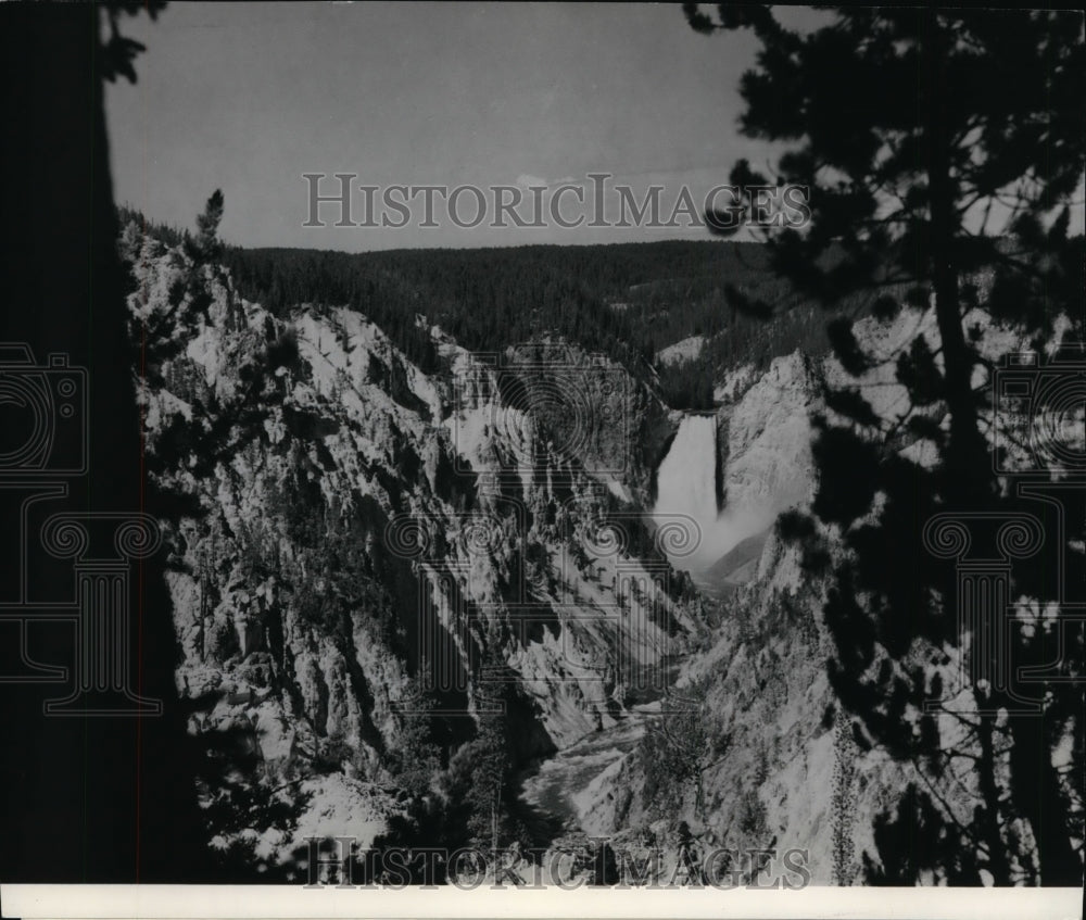 1968 Press Photo Famed falls of Yellowstone from Artist&#39;s Point, Yellowstone- Historic Images