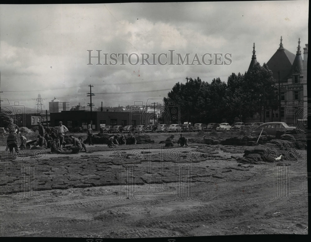 1946 Press Photo Workmen laying carpet of sod from Baxter hospital - spx04849- Historic Images