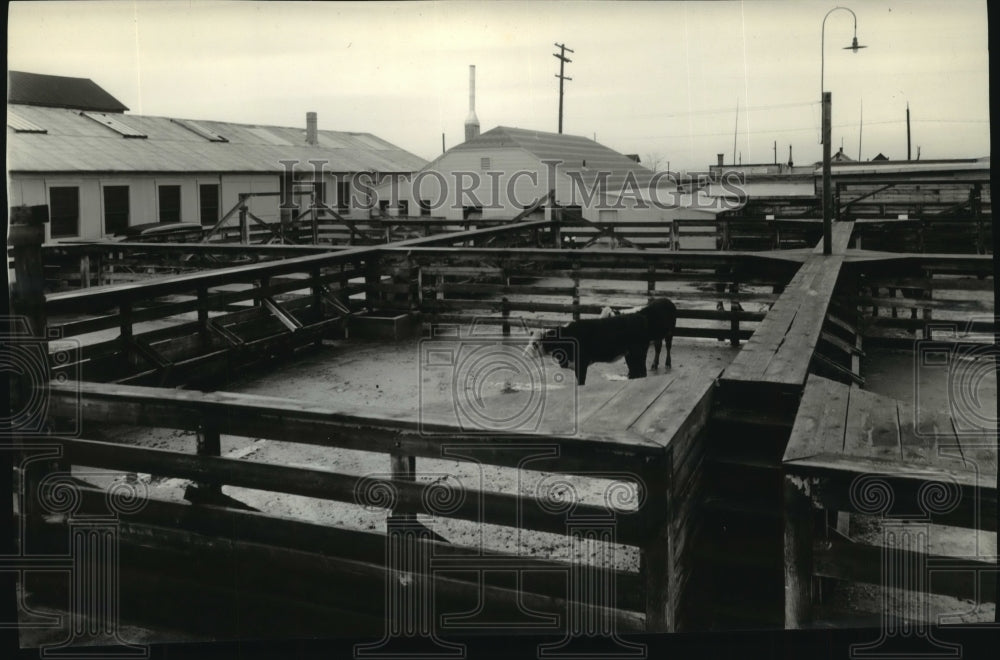 Press Photo Section of accommodations at Milan Livestock Co. Stockyards- Historic Images