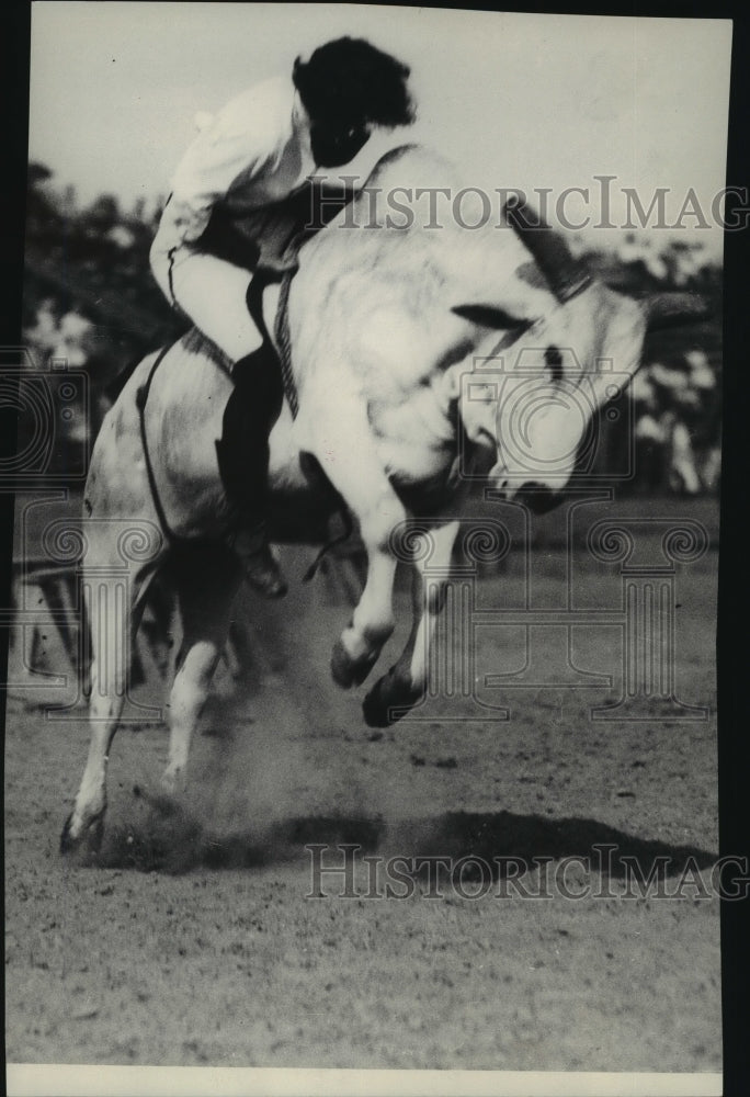 1931 Press Photo Nora Wells riding a Brahma at the Pendleton Round-up- Historic Images