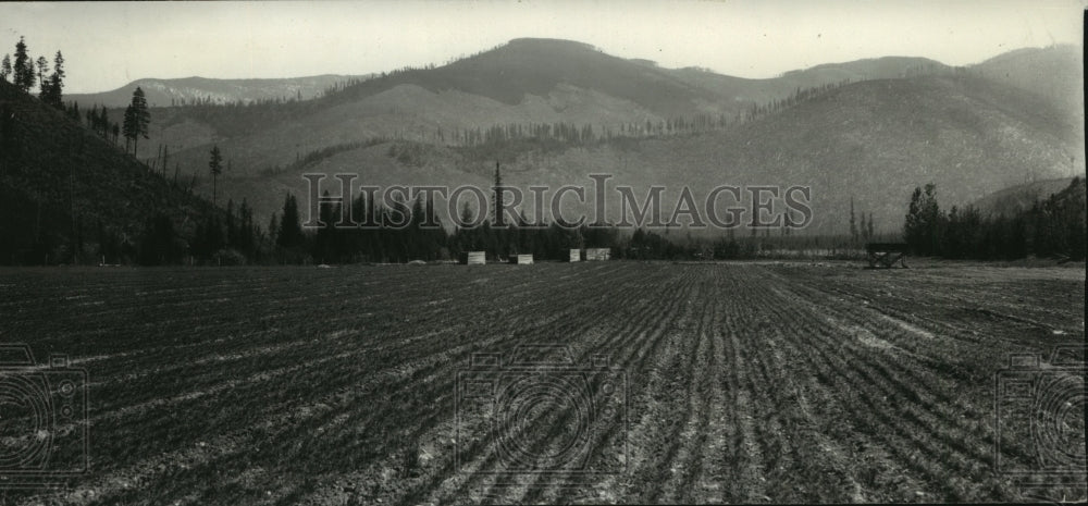 1940 Press Photo View of Agricultural Field with Hills in Background - spx18899- Historic Images