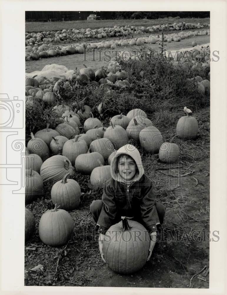 Press Photo Child with Pumpkin in Field of Pumpkins - sra05294- Historic Images