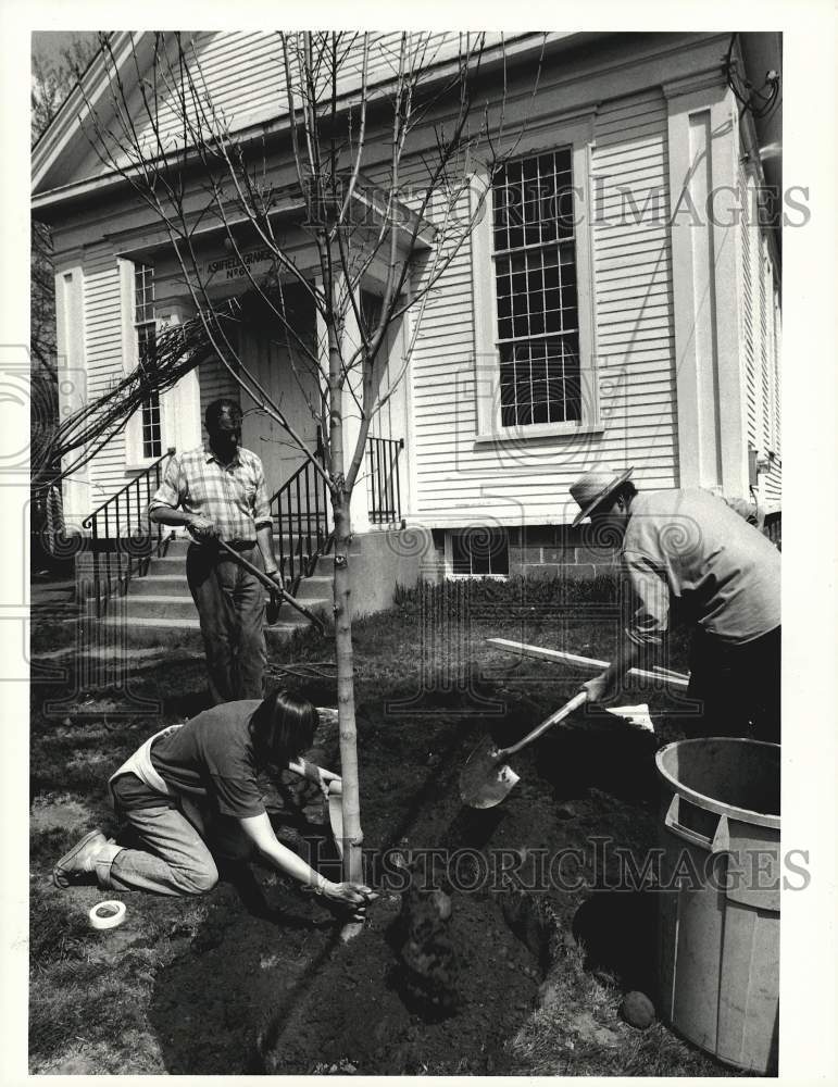 1991 Press Photo Residents plant sugar maple at the Ashfield Grange Hall- Historic Images