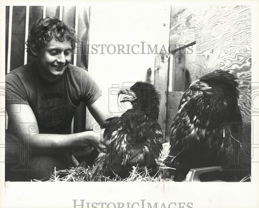 Press Photo David Nelson examines feather development on young eagles- Historic Images