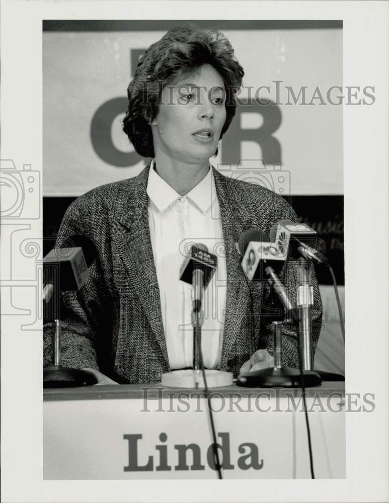 1991 Press Photo State Senator Linda Melconian speaks in West Springfield- Historic Images