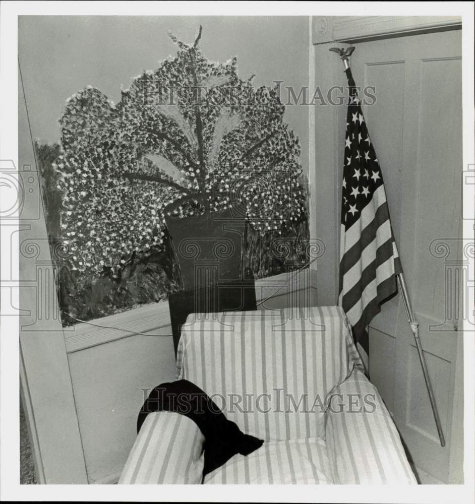 1980 Press Photo American flag at home of Theodore Jordoin, murder suspect.- Historic Images