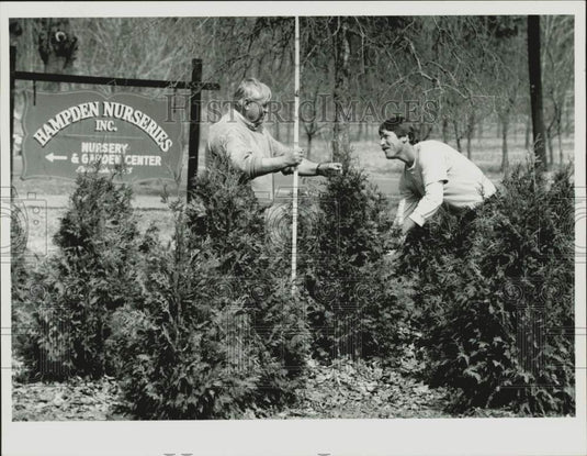 1992 Press Photo Louis and Michael Sicbaldi at Hampden Nurseries Inc.- Historic Images