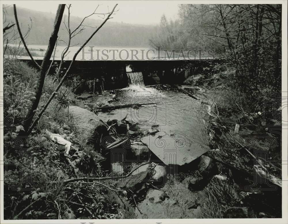 1988 Press Photo View of wetlands area to be developed, Wright Pond, Holyoke.- Historic Images