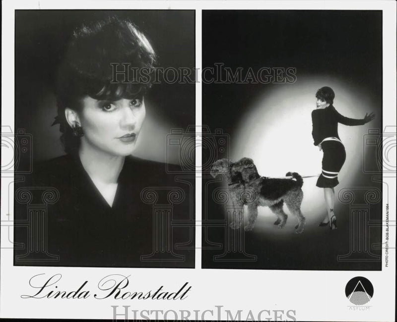 Load image into Gallery viewer, 1984 Press Photo Singer Linda Ronstadt - srp03511
