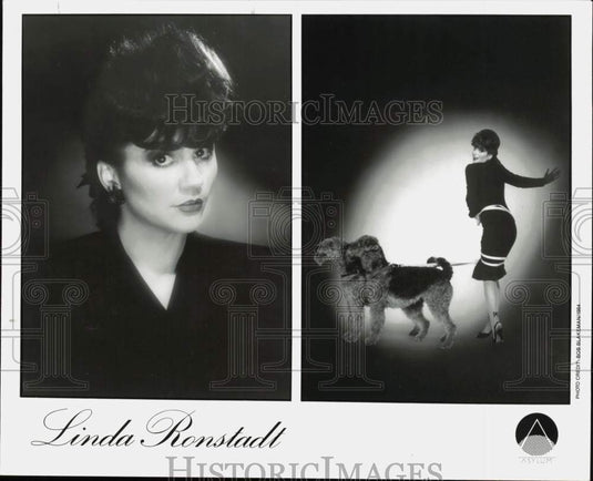 1984 Press Photo Singer Linda Ronstadt - srp03511
