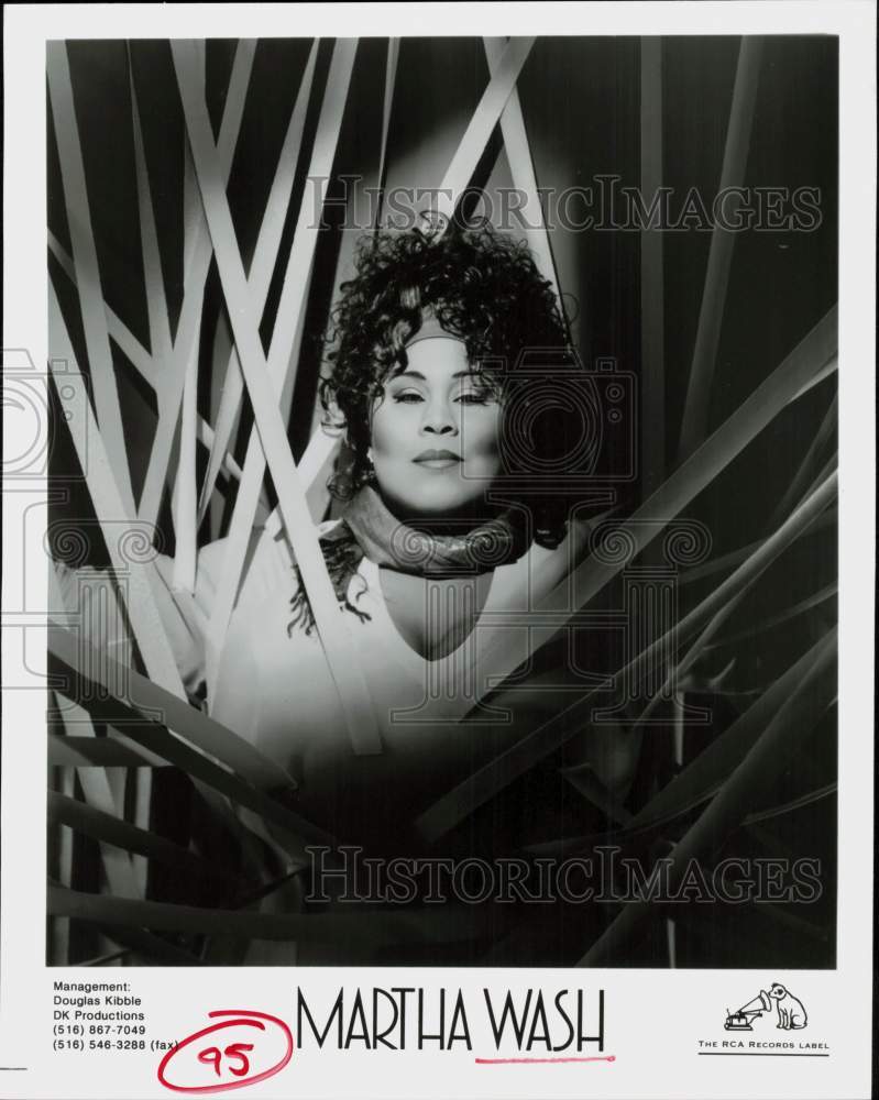 Load image into Gallery viewer, 1995 Press Photo Martha Wash - srp09966
