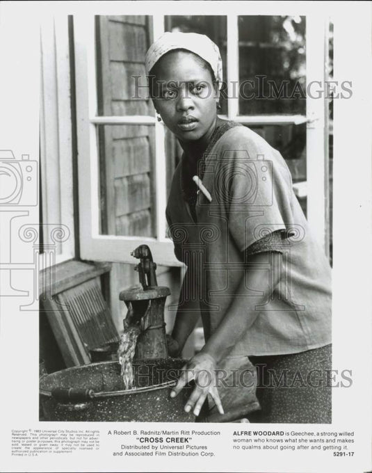1983 Press Photo Actress Alfre Woodard in "Cross Creek" - srp13010- Historic Images