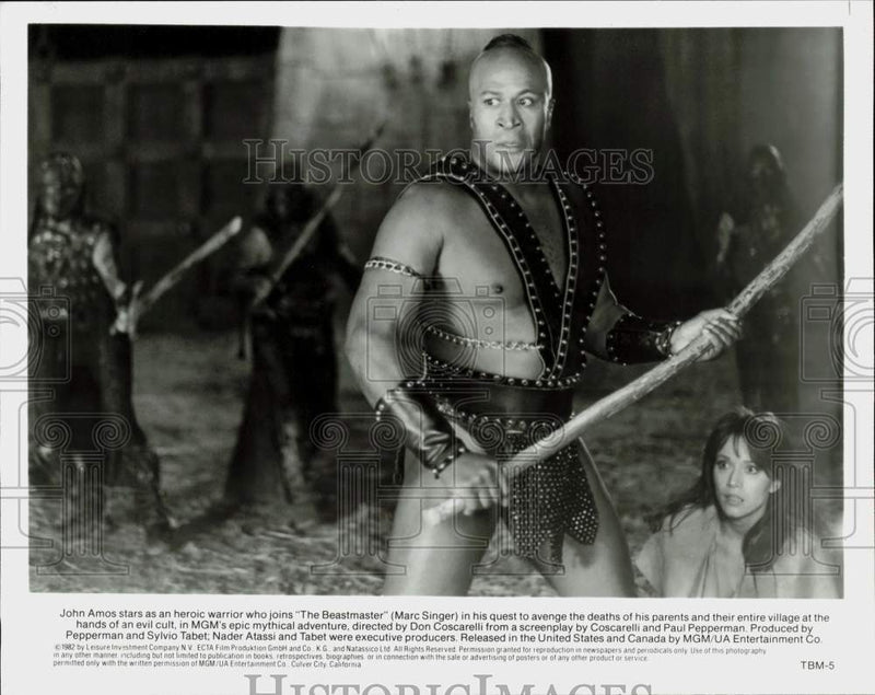 Load image into Gallery viewer, 1982 Press Photo Actor John Amos in "The Beastmaster" - srp27954
