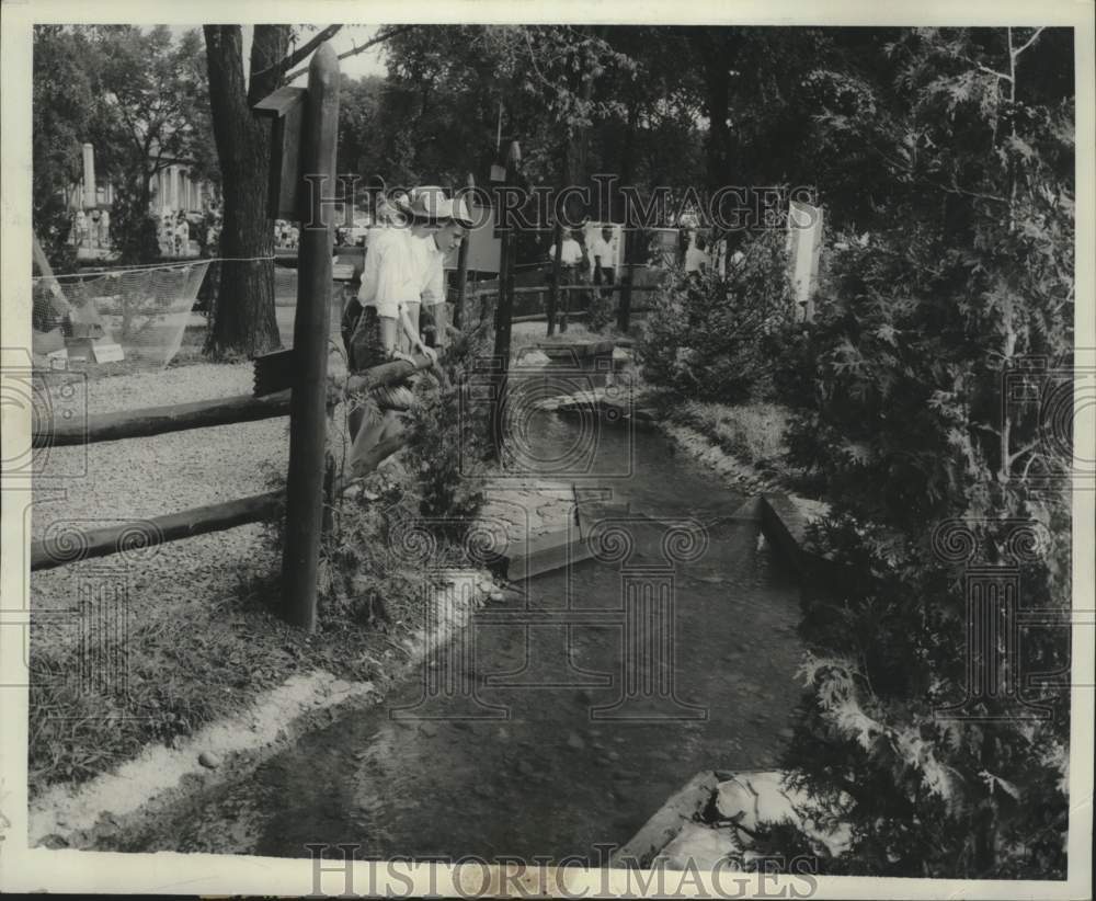 1962 Press Photo New York State Fair Trout Stream Exhibit Near Empire Lagoon