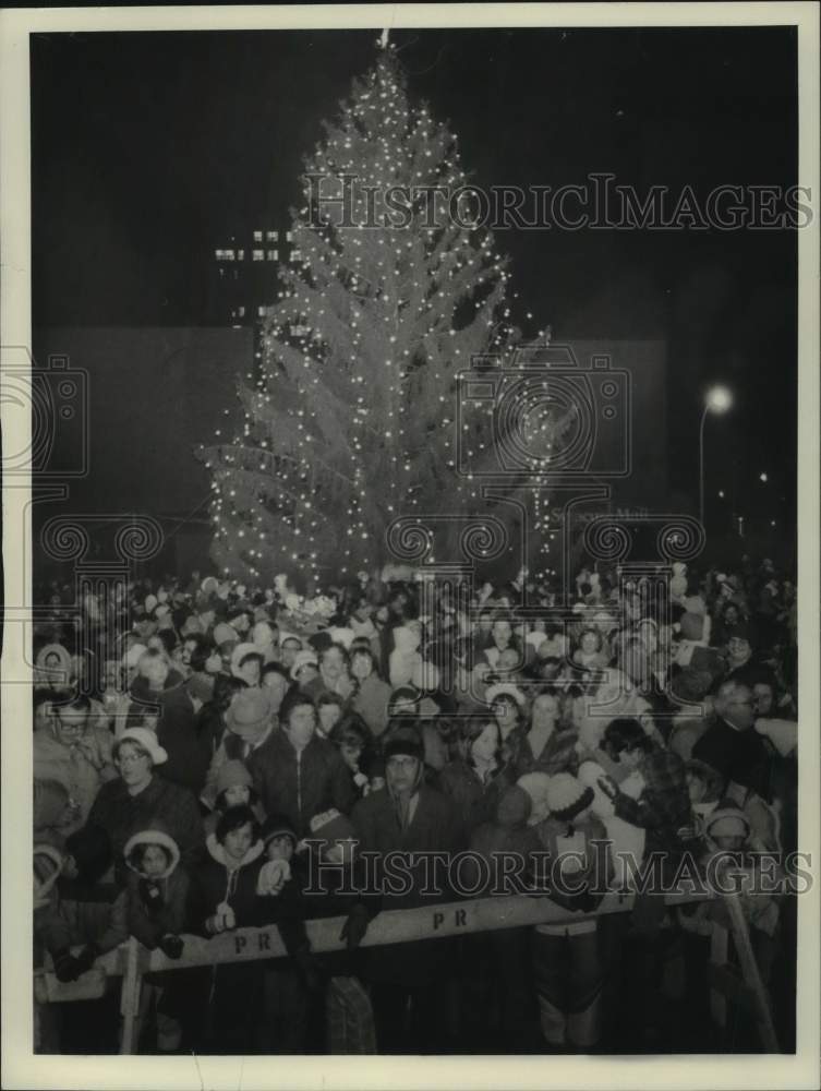 1978 Press Photo Attendees at City Christmas Tree Lighting at Night - sya04251
