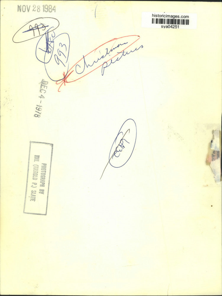 1978 Press Photo Attendees at City Christmas Tree Lighting at Night - sya04251