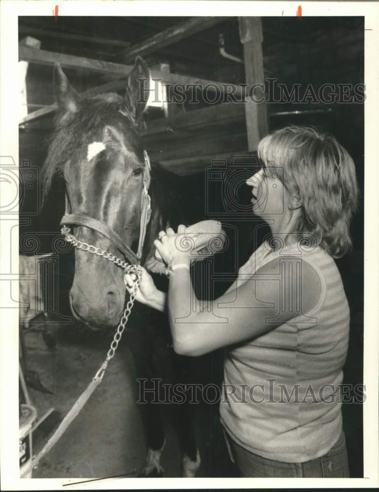 1984 Press Photo Carolyn Wahl Brushing Horse &quot;National Star&quot; - sya06121- Historic Images