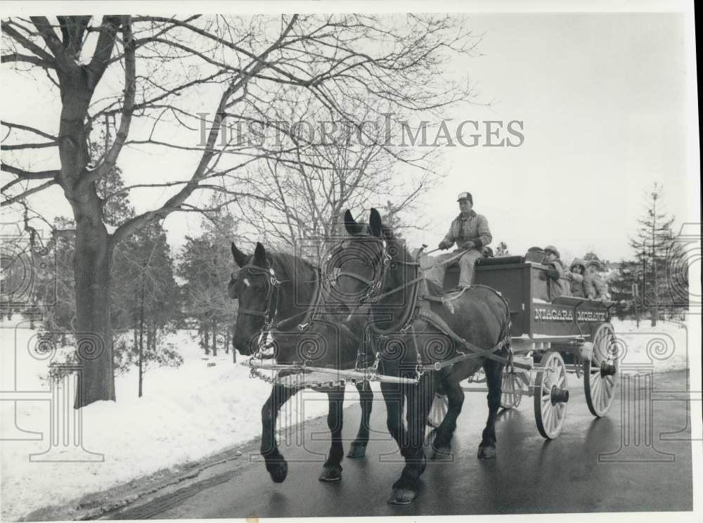 1987 Press Photo Dick Menkins Drives Horse and Butty at Thornden Park Winterfest- Historic Images