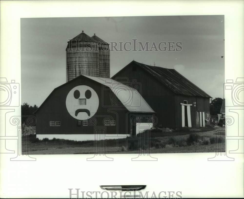 1991 Press Photo Frowning Face on Greg Maurer Farm Barn in West Carthage- Historic Images