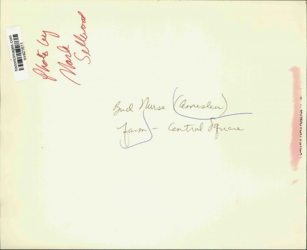 Press Photo Ameslea Farm Cows at Central Square - sya21611