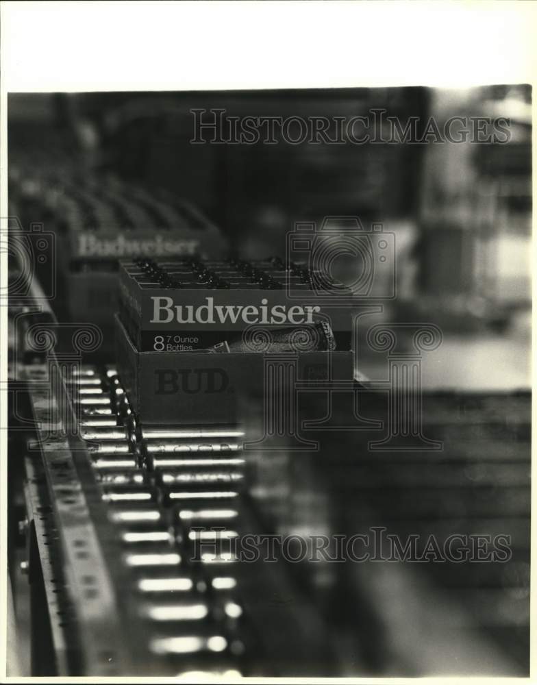 1982 Press Photo Empty Bottles at Anheuser-Busch Inc. Manufacturing Line- Historic Images