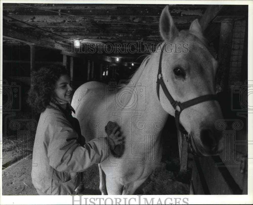 1988 Press Photo Ali DeRosa brushes horse, Silver in Barn in Marcellus, New York- Historic Images