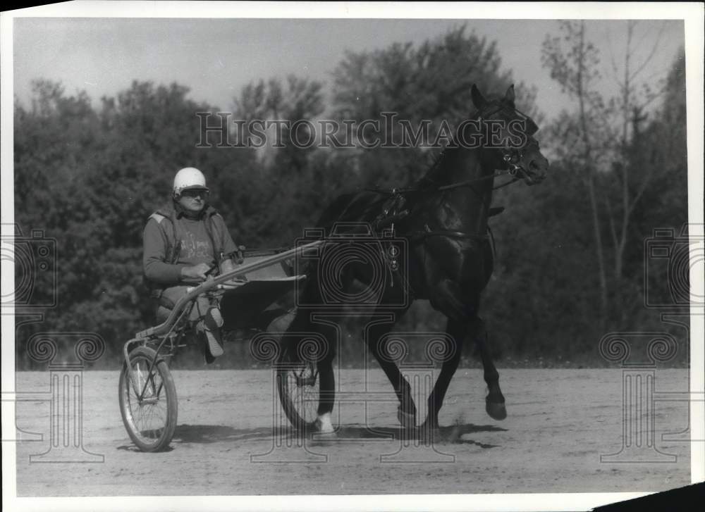 1987 Press Photo Horse and Buggy Driver Stevie Vernon on Track - sya65298- Historic Images