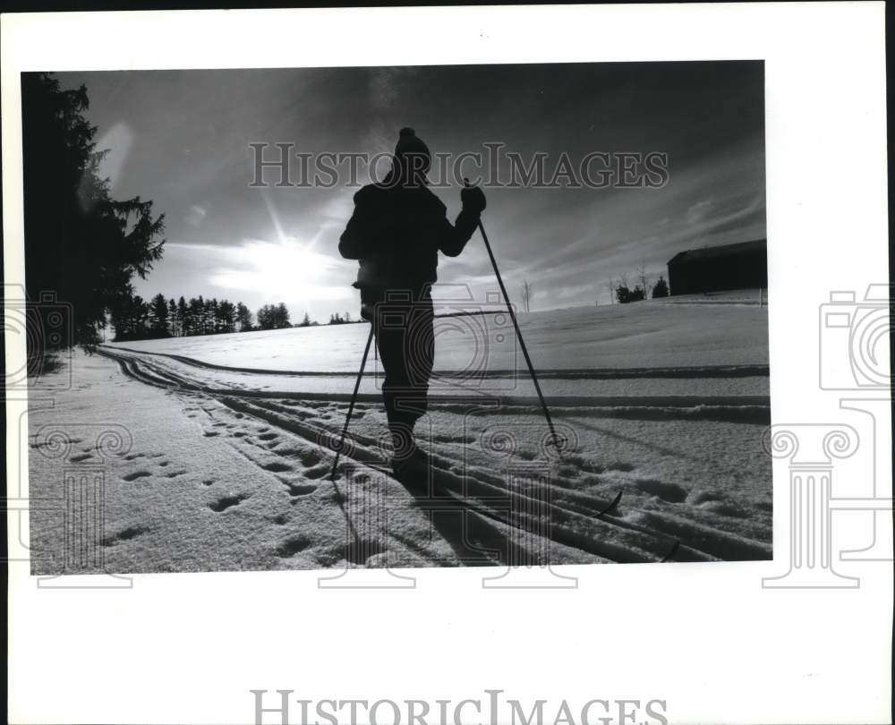 1989 Press Photo Sam Melton of Cazenovia skis at Lorenzo in New York - sya65845- Historic Images