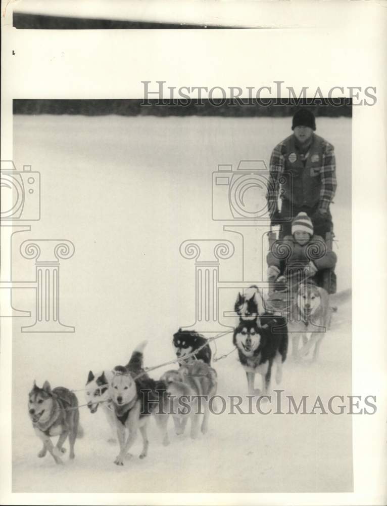 1985 Press Photo Dogs sledding at Winter Festival in Manlius, New York- Historic Images