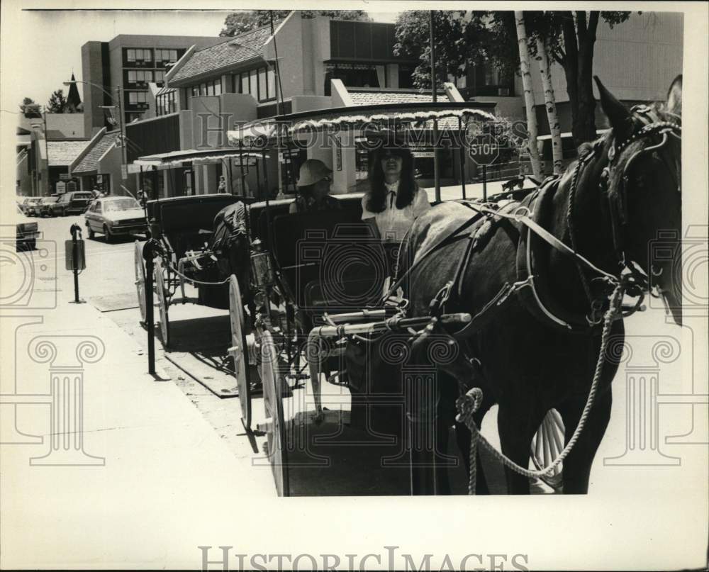 Press Photo Horse and Carriage wait near Sidewalk - sya68430