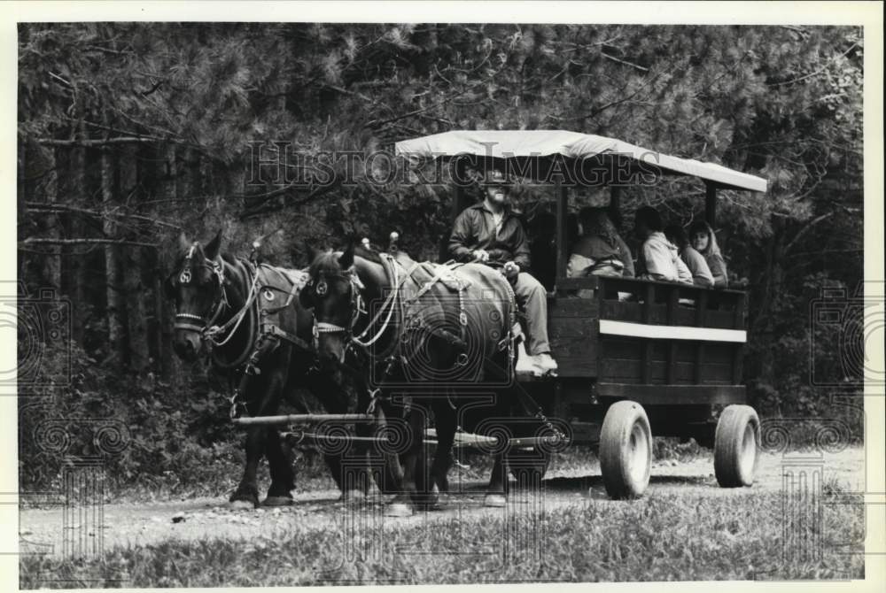 1990 Press Photo Grady O&#39;Herien, Horse and Buggy Driver at Highland Forest- Historic Images